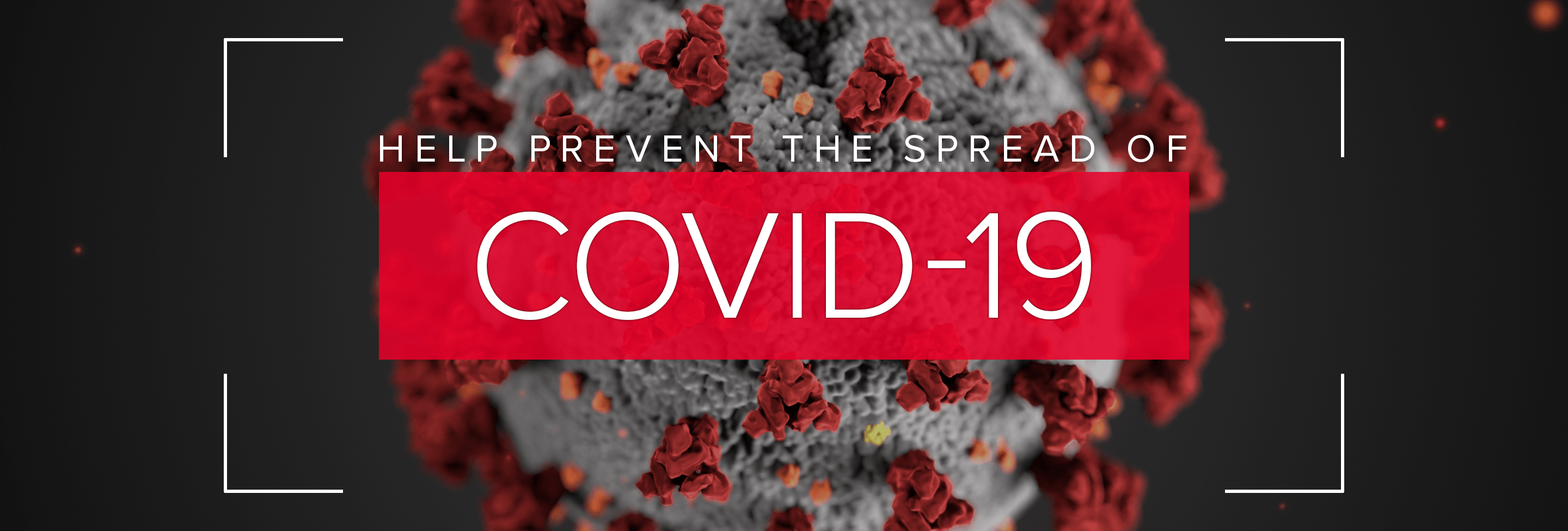COVID-19-Page-Banner_2880x976 COVID-19-Page-Banner_2880x976